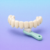 Full-arch bridge with a cleaning brush for adaptation and hygiene.