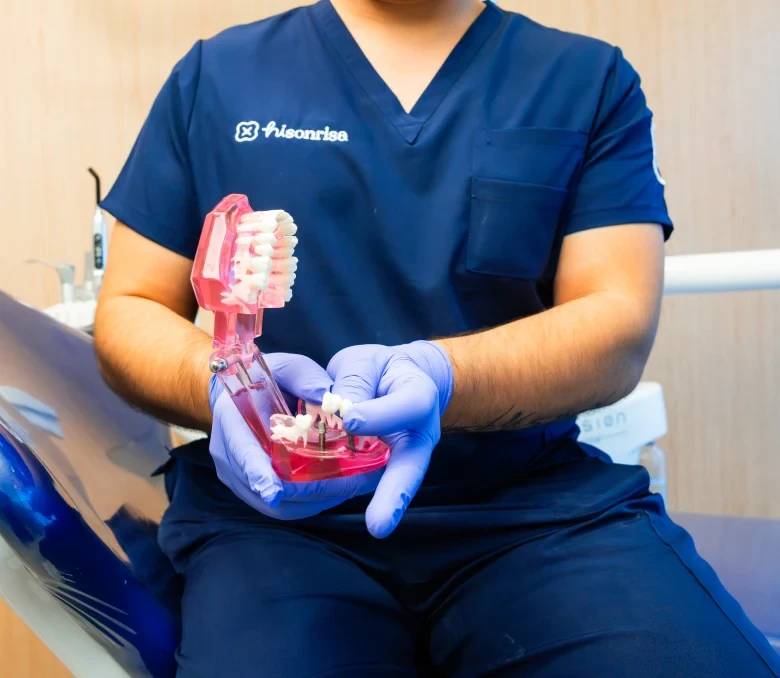 Dentist demonstrating a dental model at hisonrisa in Roma Sur.