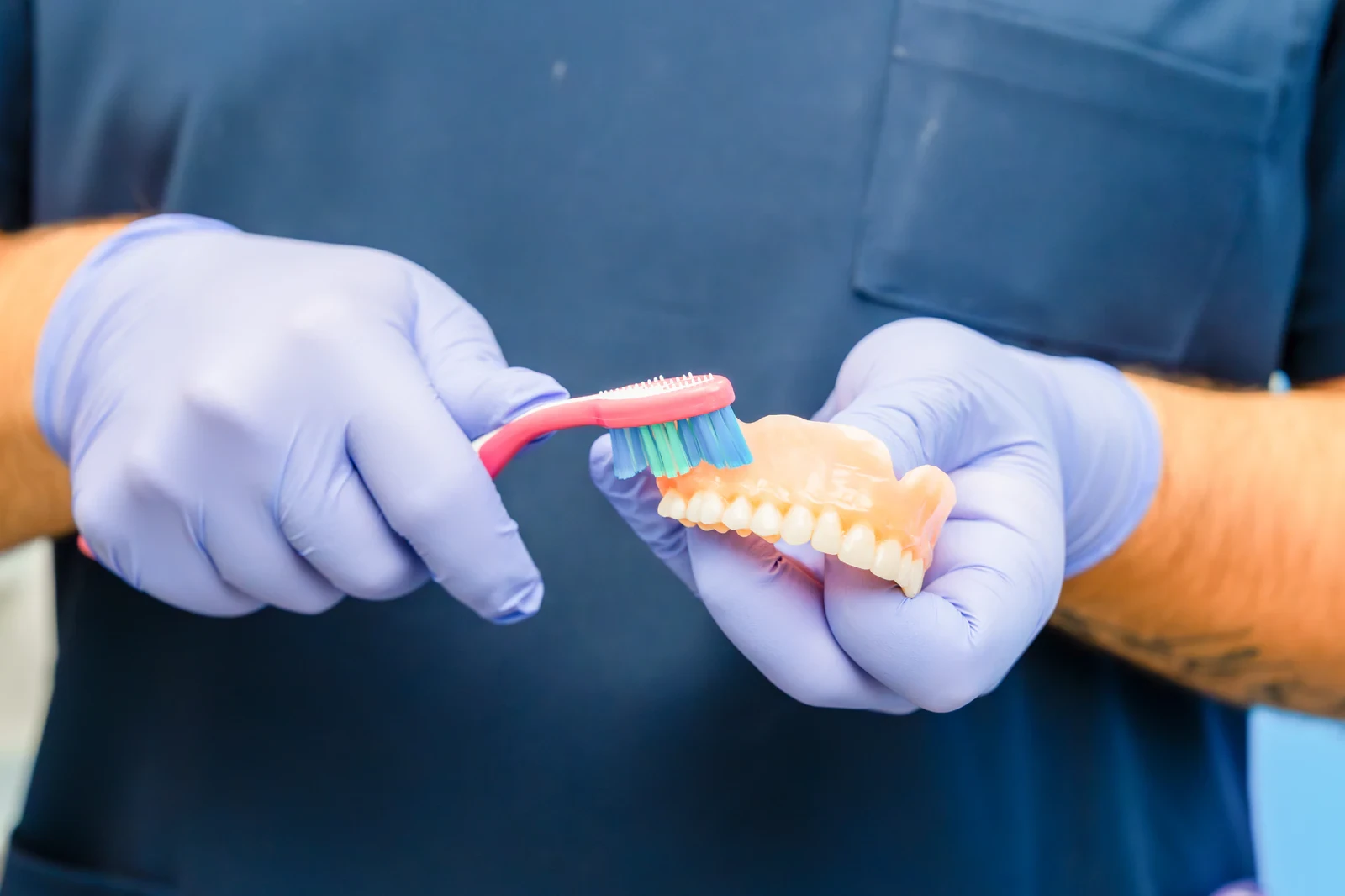 Profesional dental mostrando una limpieza suave con cepillo sobre un modelo de prótesis removible.
